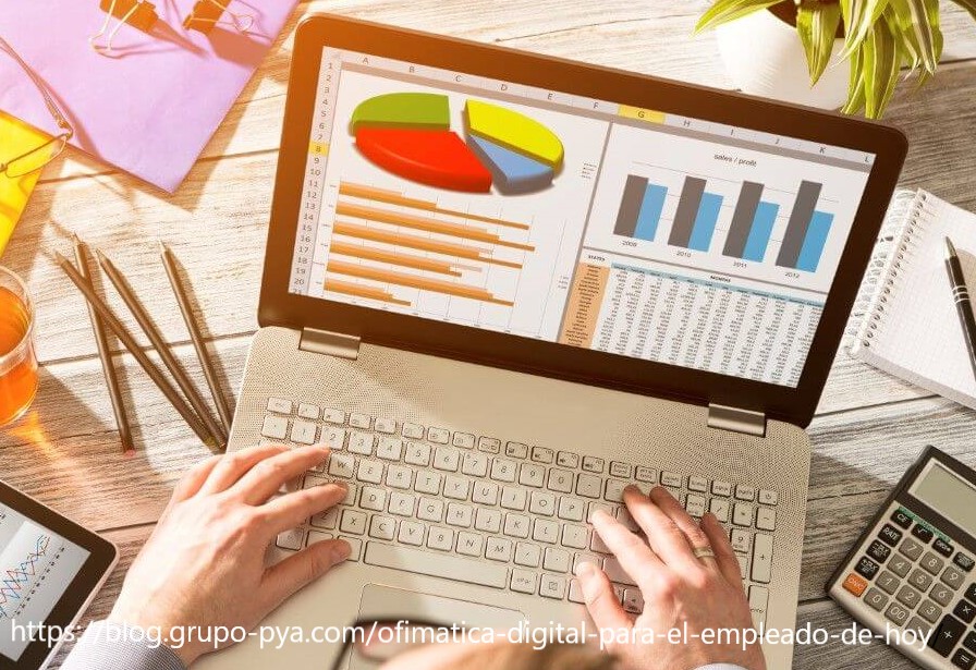 AFM1-1-M05 - Ofimàtica